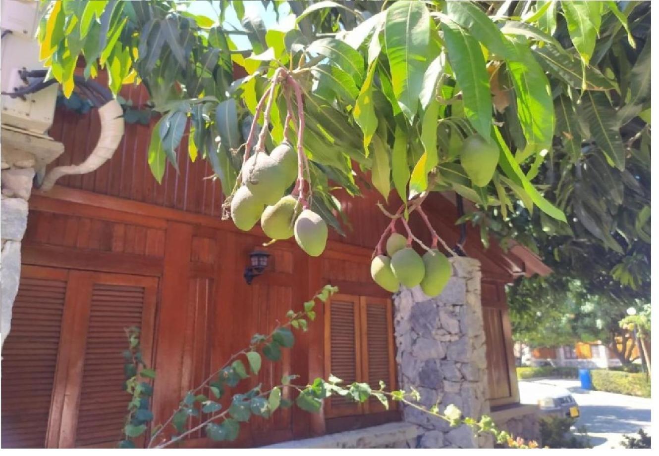Parejas Y Familias Campestre Cerca Rodadero Con Piscinas * Santa Marta (Magdalena)